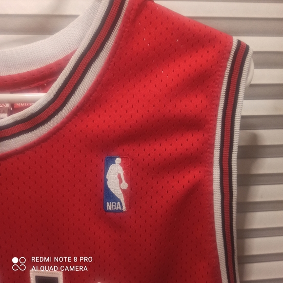 Scottie pippen 33 Chicago bulls jersey - Picture 7 of 9